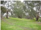 5 Kaesler Drive, Nuriootpa SA 5355