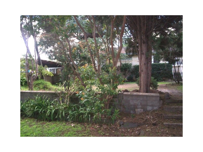 769 Pennant Hills Road, Carlingford NSW 2118