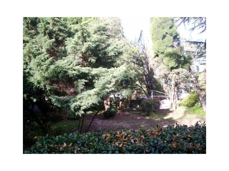 769 Pennant Hills Road, Carlingford NSW 2118