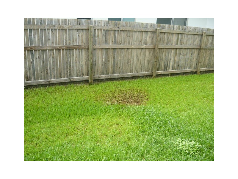 Bohle Plains QLD 4817