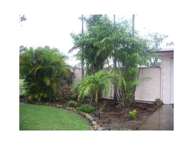 Alice River QLD 4817