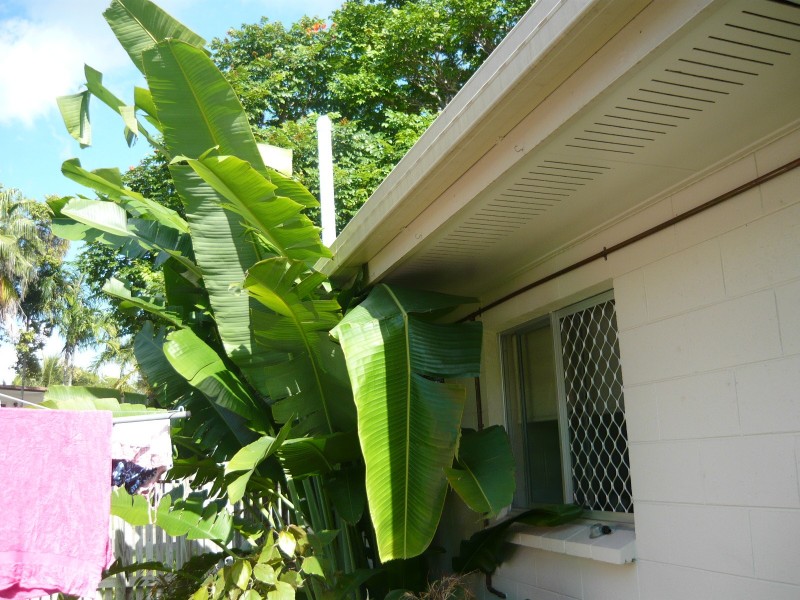 Kirwan QLD 4817