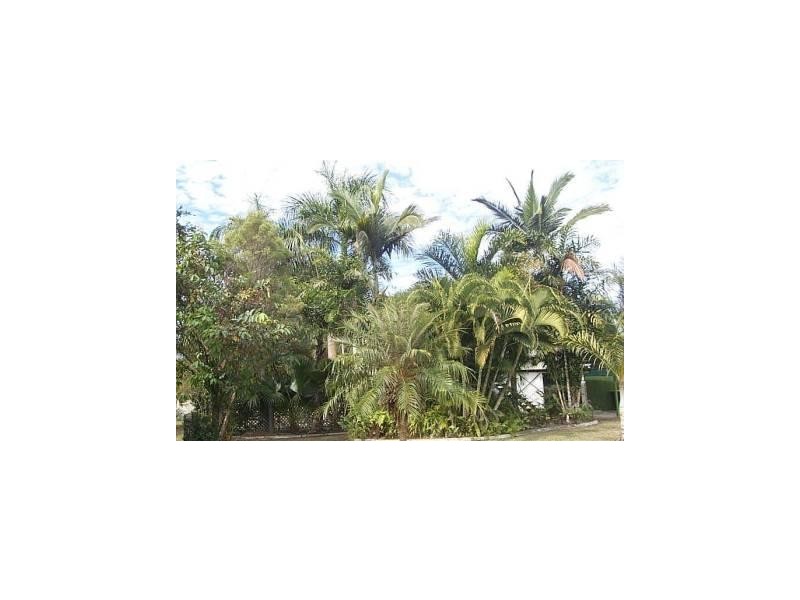 51 Illuta Street, Rasmussen QLD 4815