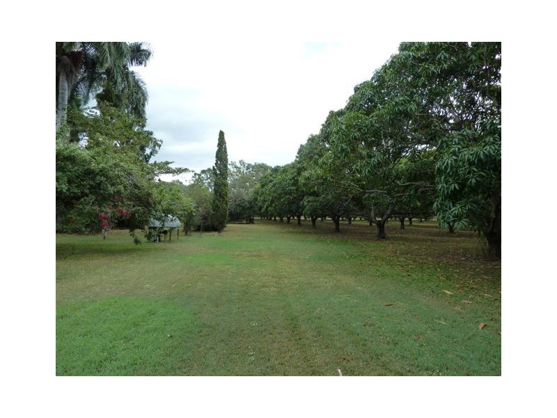 21 Alligator Creek Road, Alligator Creek QLD 4816