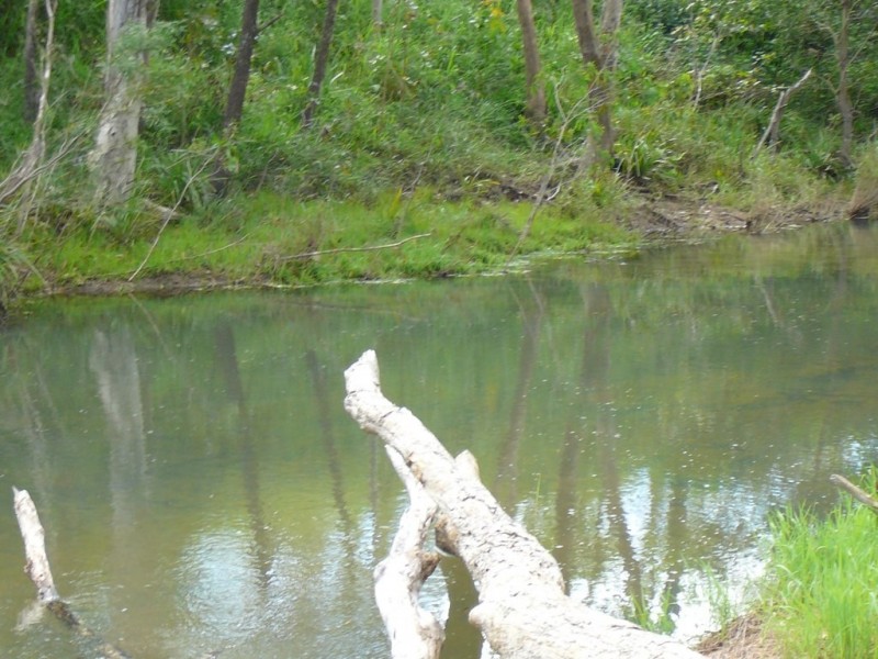 1 SETTER ROAD, Bluewater QLD 4818