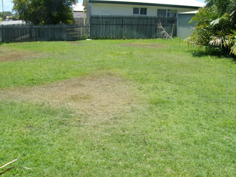 2 Santa Lucia Drive, Mount Louisa QLD 4814