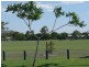 193 Greenwood Drive, Kirwan QLD 4817