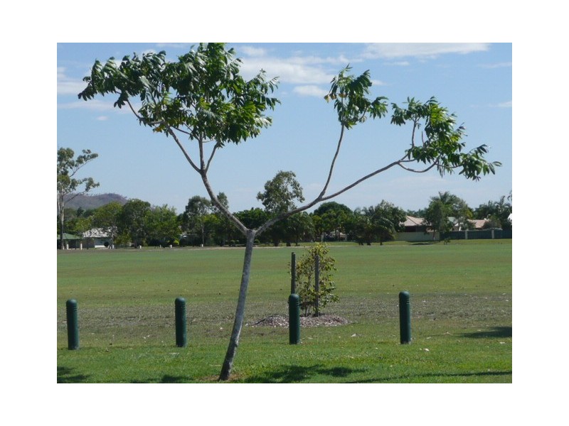 193 Greenwood Drive, Kirwan QLD 4817