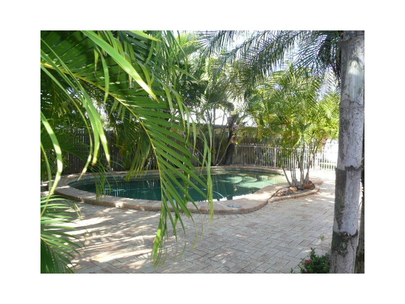 3 Nutwood Court, Annandale QLD 4814