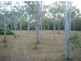 180 Whitsunday Drive, Bloomsbury QLD 4799