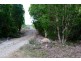 180 Whitsunday Drive, Bloomsbury QLD 4799