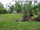 53 Eshelby Drive, Cannonvale QLD 4802