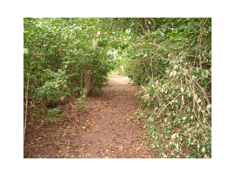 61 Trochus Street, Dingo Beach QLD 4800