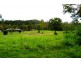 Lot 2 Paluma Road, Cannonvale QLD 4802