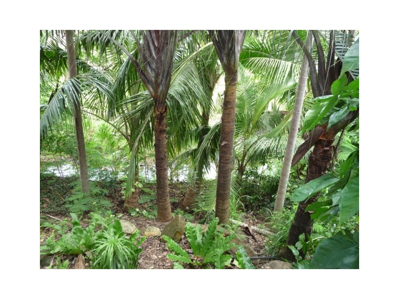 45 Jubilee Pocket Road, Jubilee Pocket QLD 4802