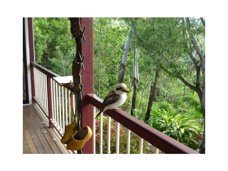 57 Parkland Drive, Cannonvale QLD 4802
