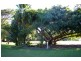 1696 Conway Road, Conway QLD 4800