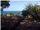 6 Blackcurrent Drive, Hideaway Bay QLD 4800