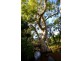 Lot 42 Hydeaway Bay Road, Hideaway Bay QLD 4800