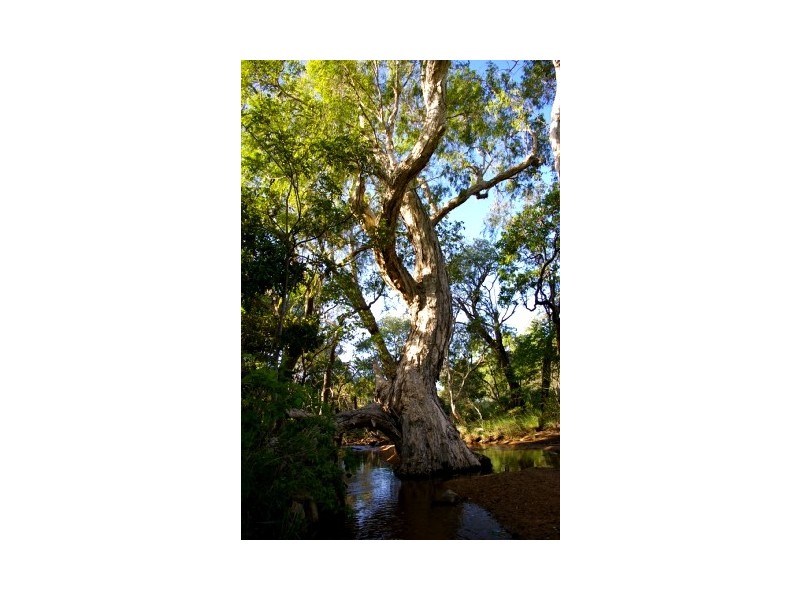 Lot 42 Hydeaway Bay Road, Hideaway Bay QLD 4800