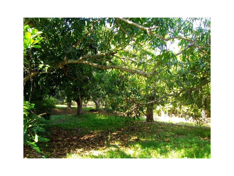 48 Paluma Road, Cannonvale QLD 4802