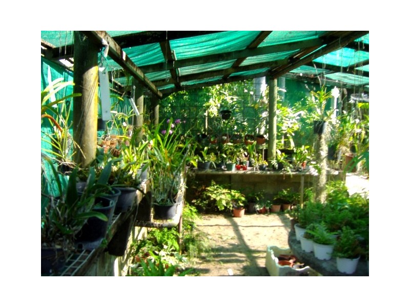 48 Paluma Road, Cannonvale QLD 4802