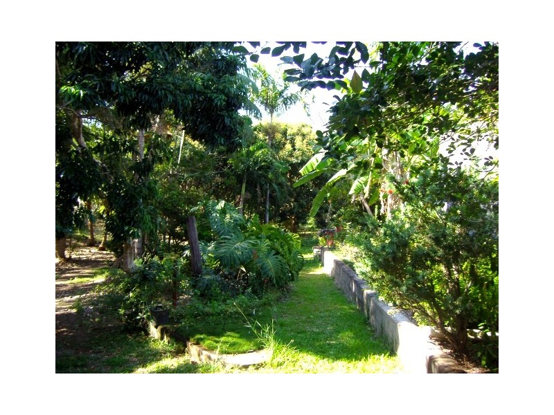 48 Paluma Road, Cannonvale QLD 4802