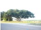 33-35 The Esplanade, Bowen QLD 4805
