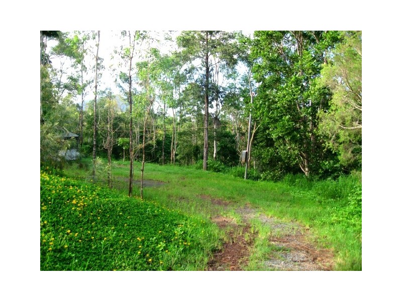 61 Domenica Road, Sugarloaf QLD 4800