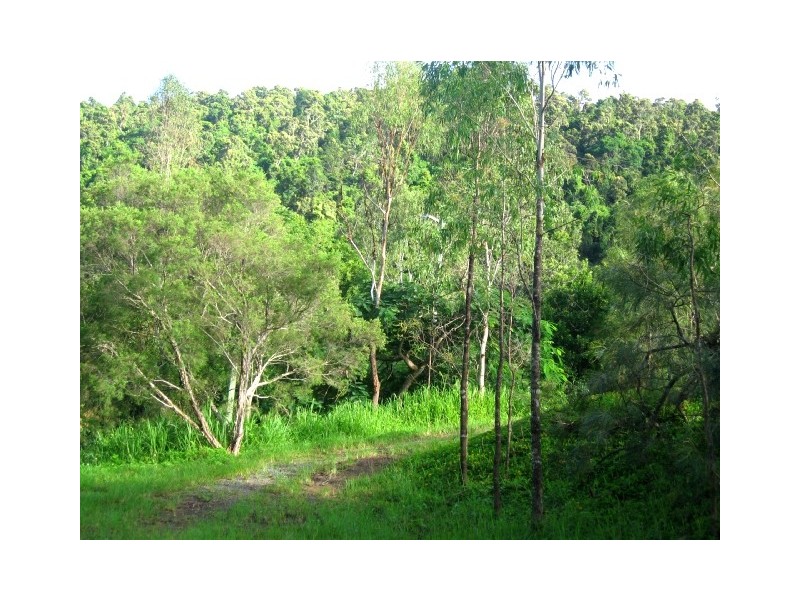 61 Domenica Road, Sugarloaf QLD 4800