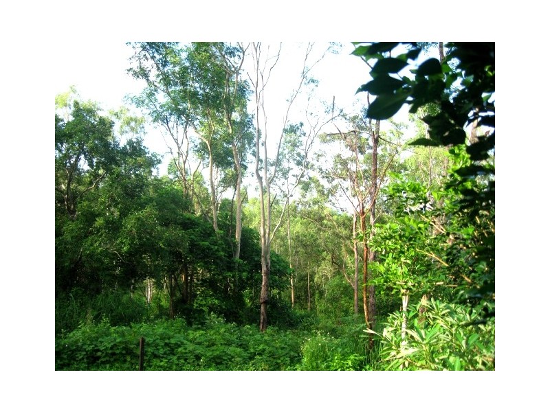 61 Domenica Road, Sugarloaf QLD 4800