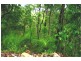 Lot 2 Conway Road, Preston QLD 4800