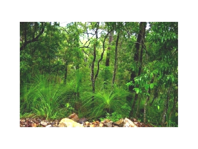 Lot 2 Conway Road, Preston QLD 4800