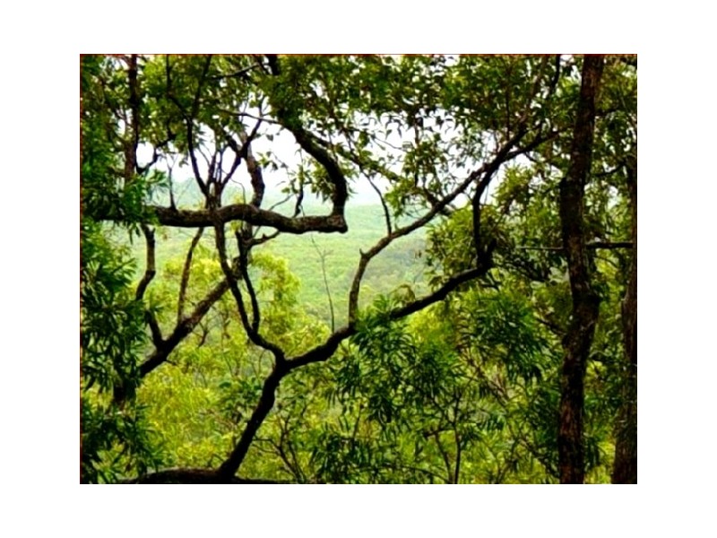 Lot 2 Conway Road, Preston QLD 4800
