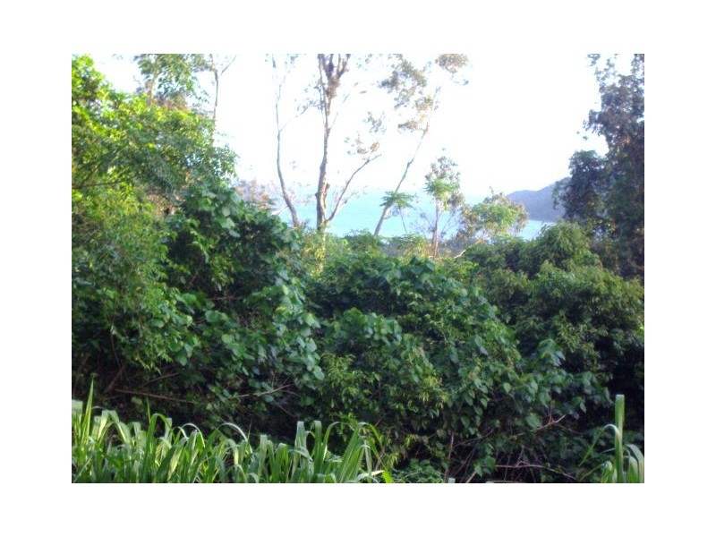 Lot 171 Shute Harbour Road, Flametree QLD 4802