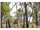 46 Trochus Street, Dingo Beach QLD 4800