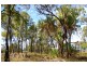 46 Trochus Street, Dingo Beach QLD 4800