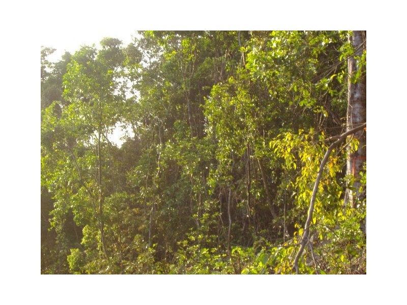 Lot 172 Shute Harbour Road, Flametree QLD 4802