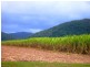 Lot 3 & 35 Plemenuk Road, Mount Marlow QLD 4800