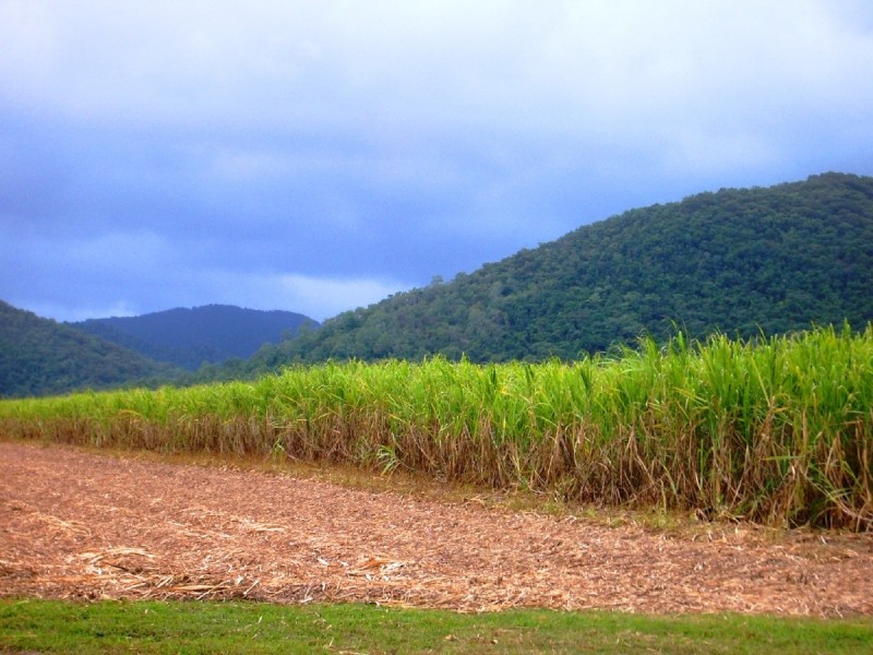 Lot 3 & 35 Plemenuk Road, Mount Marlow QLD 4800