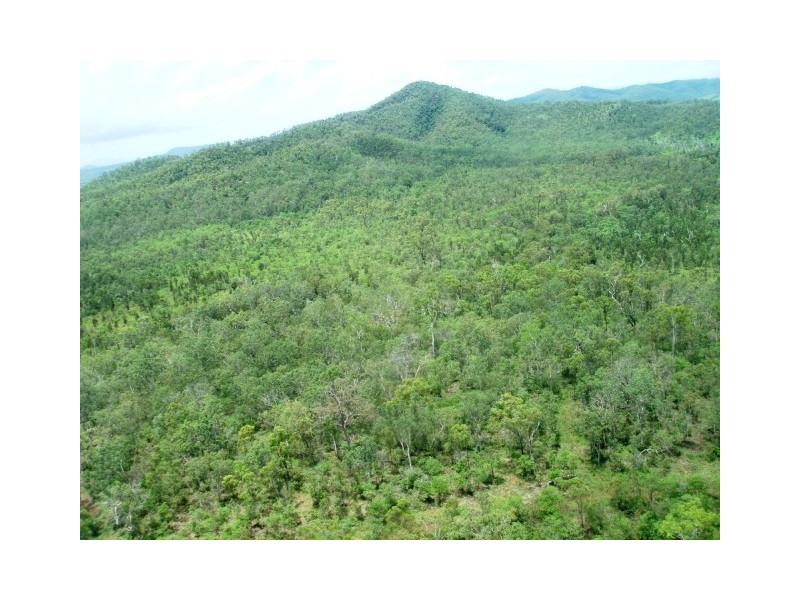 Mango Ridge Estate, Whitsundays QLD 4802