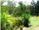 74 Domenica Road, Sugarloaf QLD 4800