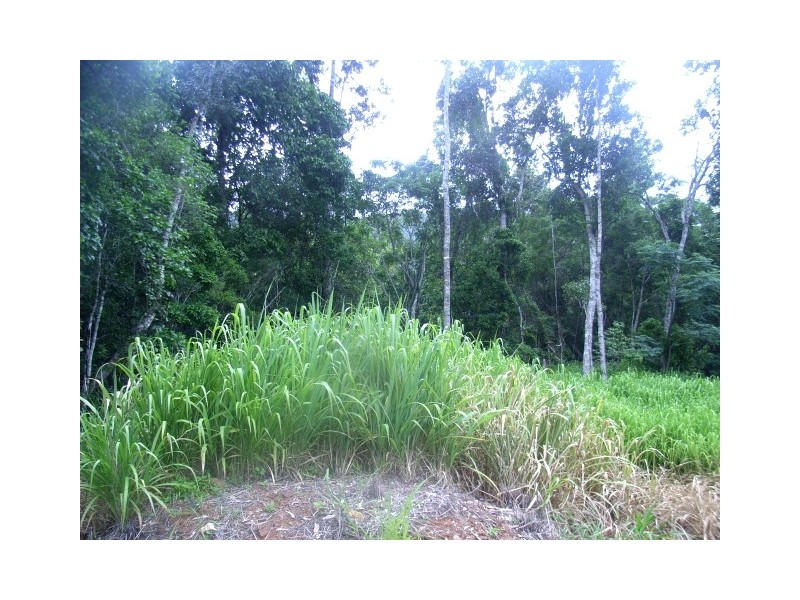 103 Jubilee Pocket Road, Jubilee Pocket QLD 4802