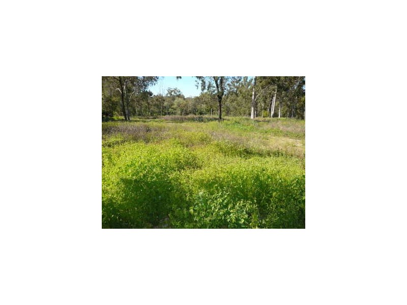 122 Considine Street, Ellen Grove QLD 4078