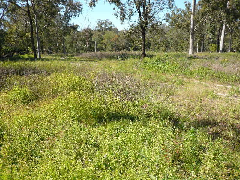 122 Considine Street, Ellen Grove QLD 4078