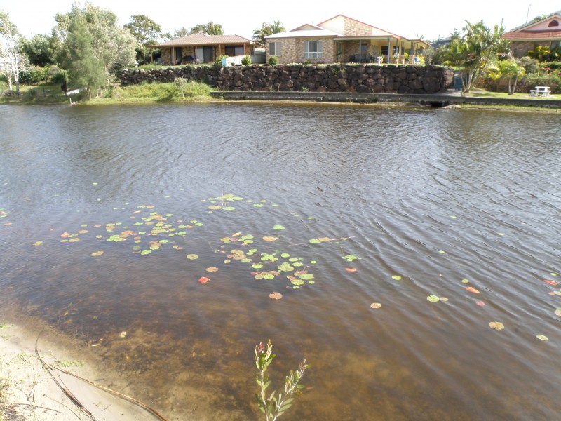 17 Reef Water Cct, Cabarita Beach NSW 2488