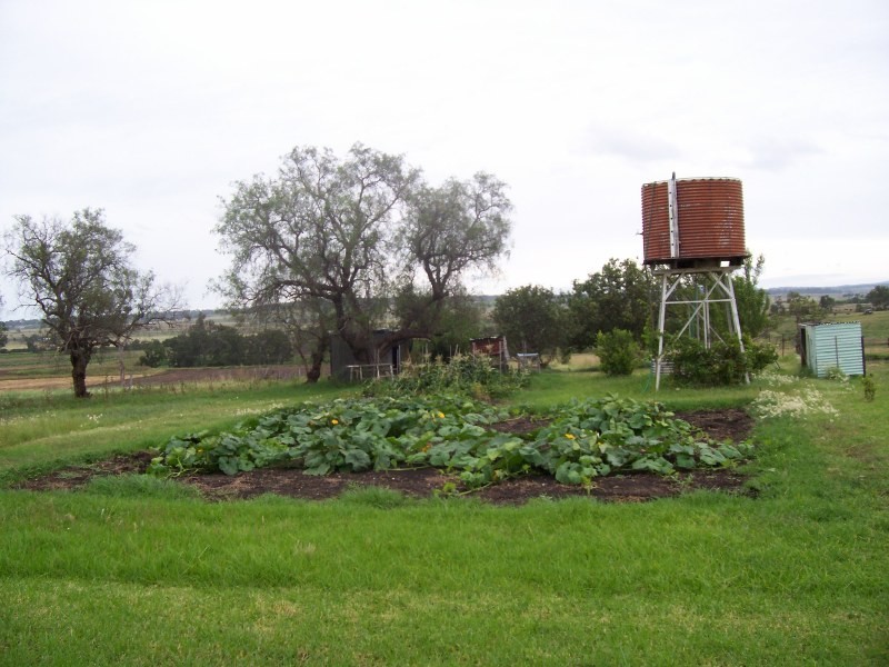 24 Old Goomburra Road, Allora QLD 4362