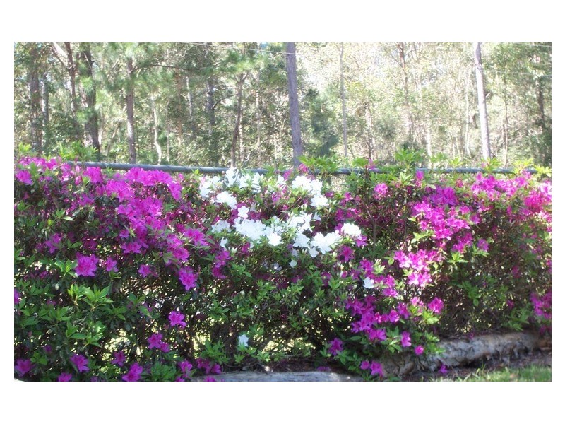 Landsborough QLD 4550