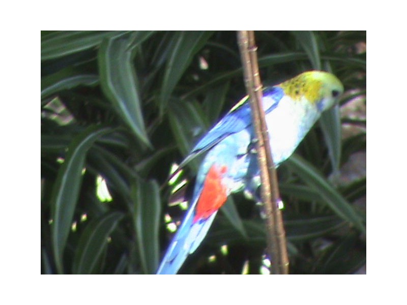 Landsborough QLD 4550