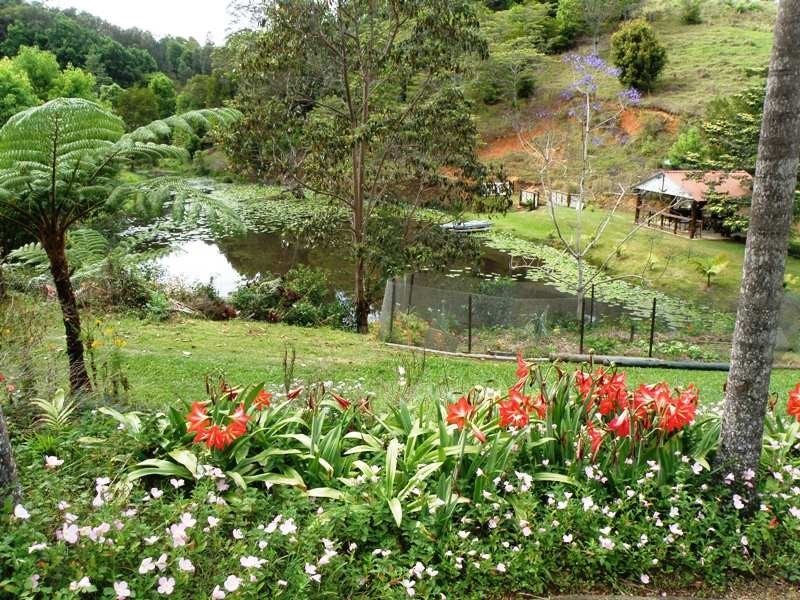 32 Pigeonberry Road, Nobbys Creek NSW 2484